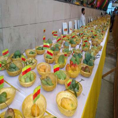 Mango Festival Places to See